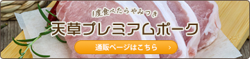 天草プレミアムポーク通販ページはこちら