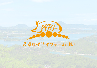 日本人が大好きな豚肉を取り扱ってます